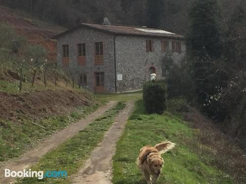 La Difesa