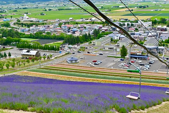富良野町营薰衣草园-中富良野町必去景点