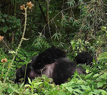 Heritage Safaris Ltd-吉佳利必去景点