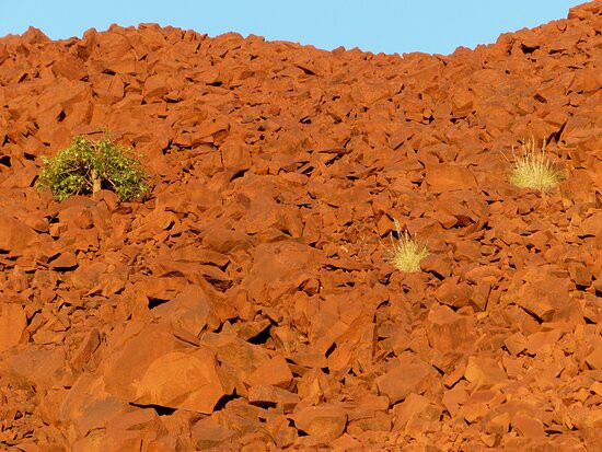 Murujuga National Park-Dampier必去景点