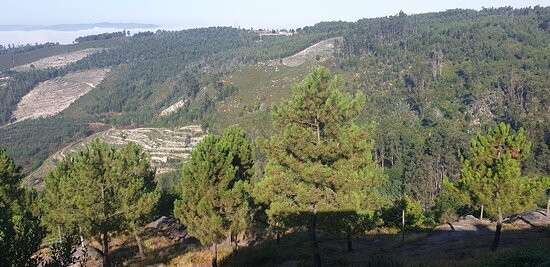DiverLanhoso Parque Aventura景点图片