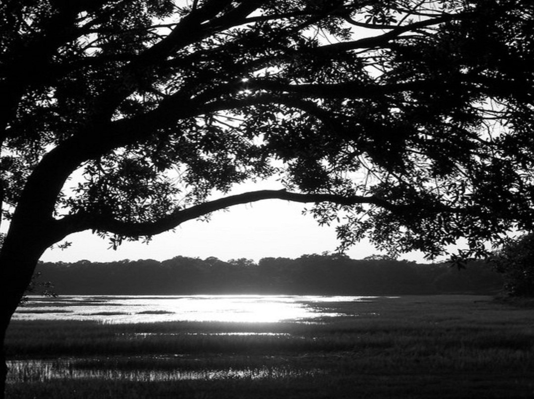 Holiday Inn Express & Suites Bluffton @ Hilton Head Area By IHG主图