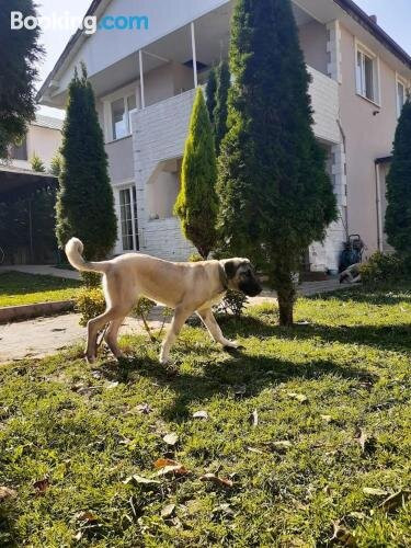 Sweet Villa. Pet and nature friendly.