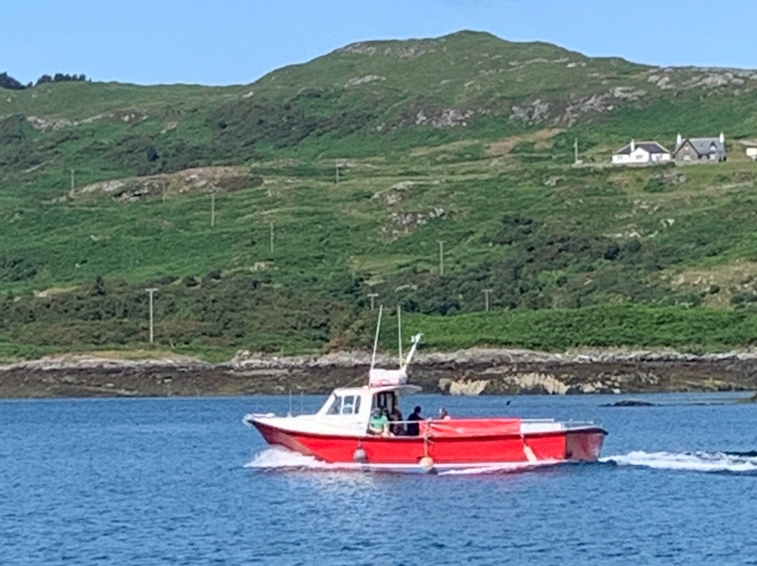 Kylesku Boat Tours景点图片