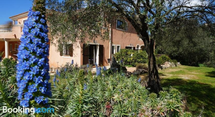 Monacia-d'Aullene酒店住宿-Chambre D'Hotes Domaine Pero Longo