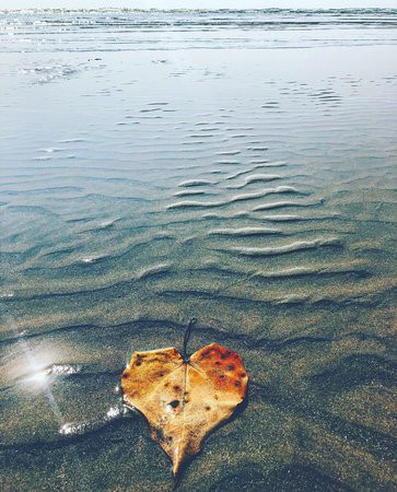 Banyan Tree Yoga Goa主图