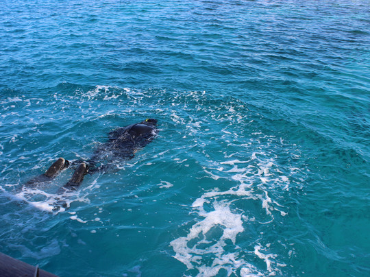 TGI - Maayafushi Diving Center-Maayafushi Island必去景点