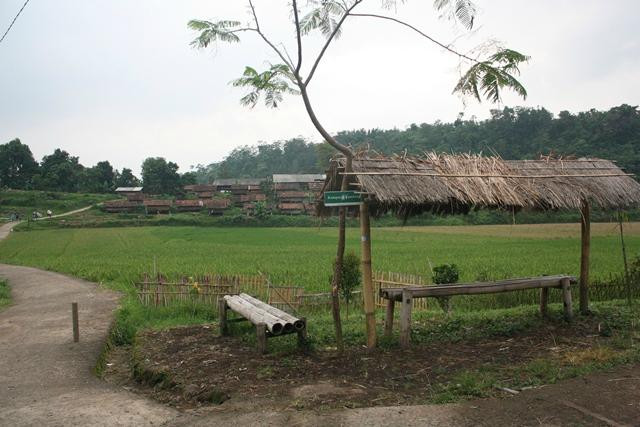 Desa Cibuntu景点图片