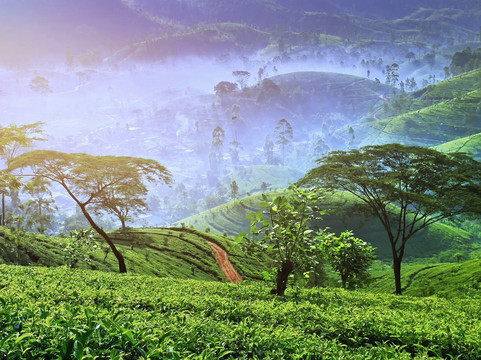 Himaliyan Tours and Travels-卡卢特勒必去景点