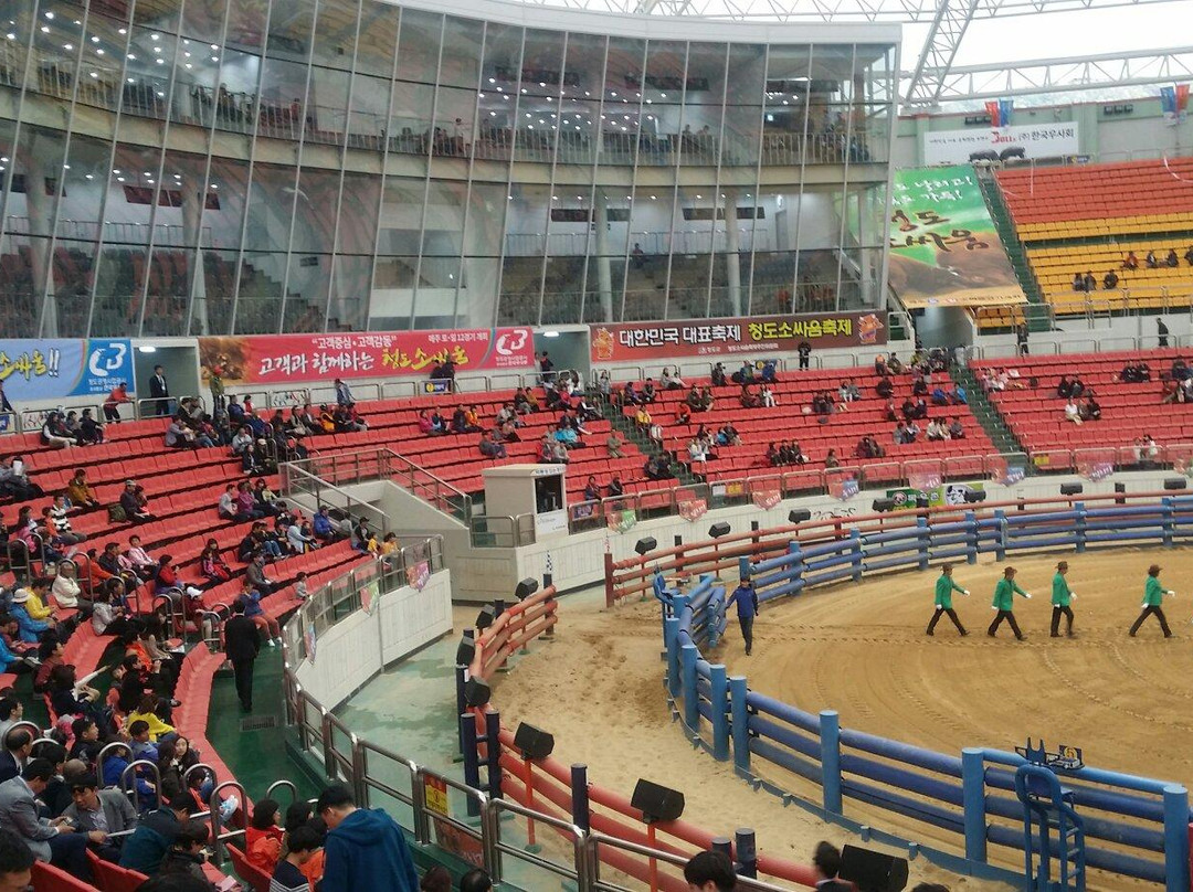 清道郡旅游景点-Cheongdo Bullfighting Stadium