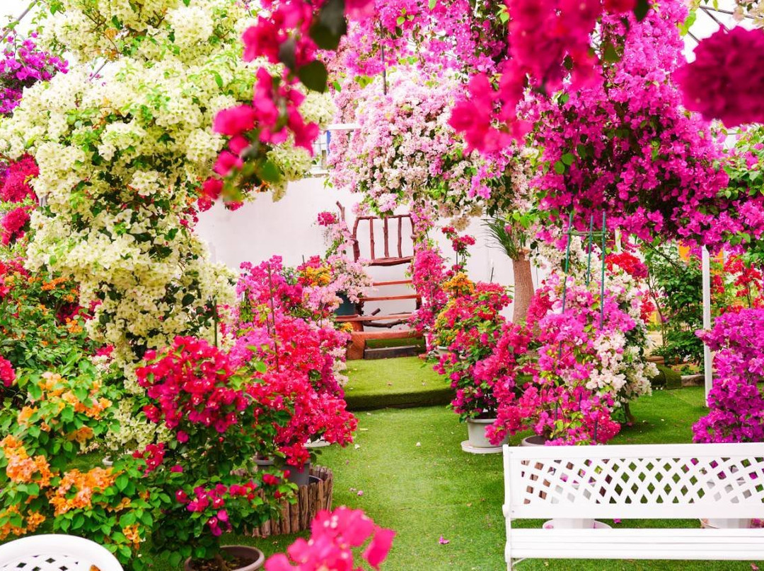 Bougainville no mori-唐津市必去景点