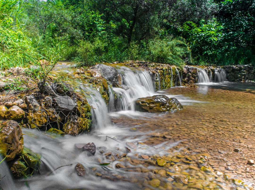 Trail 5景点图片