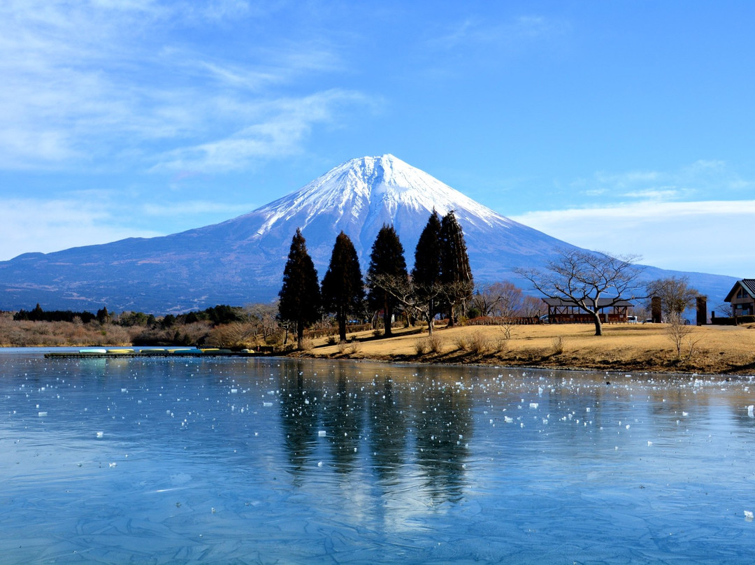 Lake Tanuki景点图片