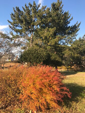 Fukakita Green Parks-大东市必去景点