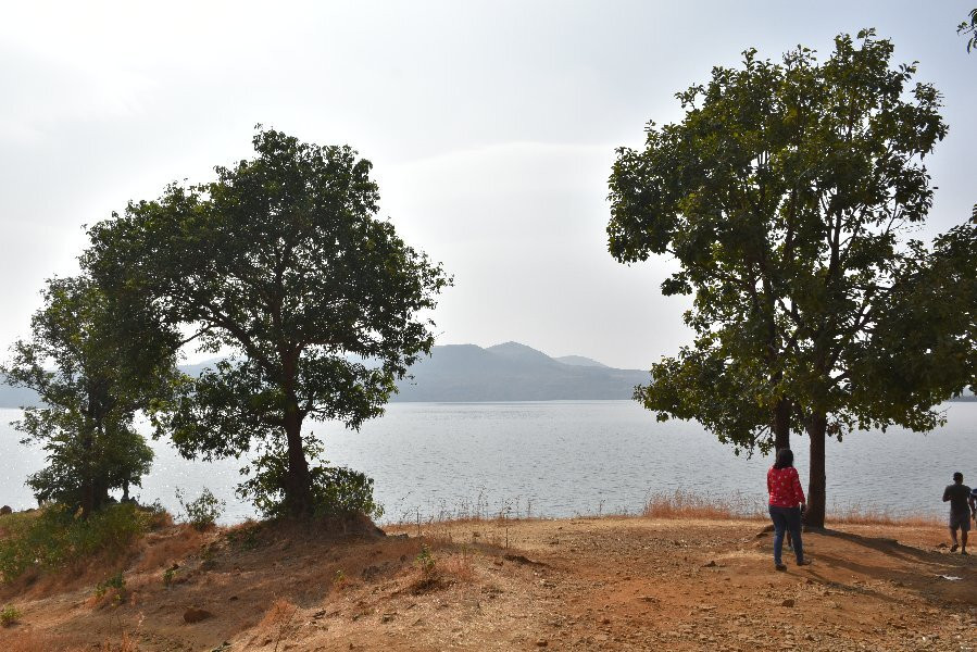 Bhavali Dam景点图片
