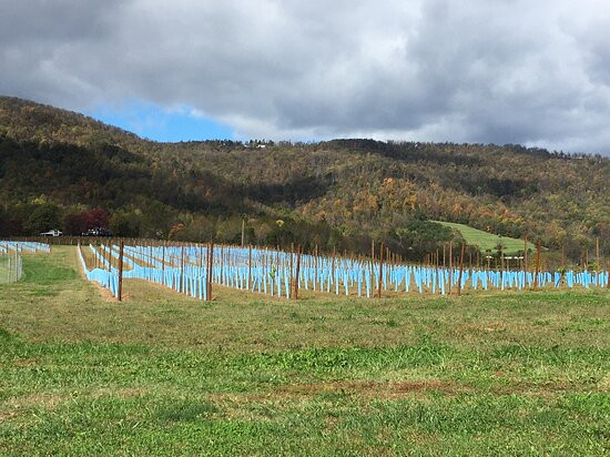 Afton Mountain Vineyards-Afton必去景点