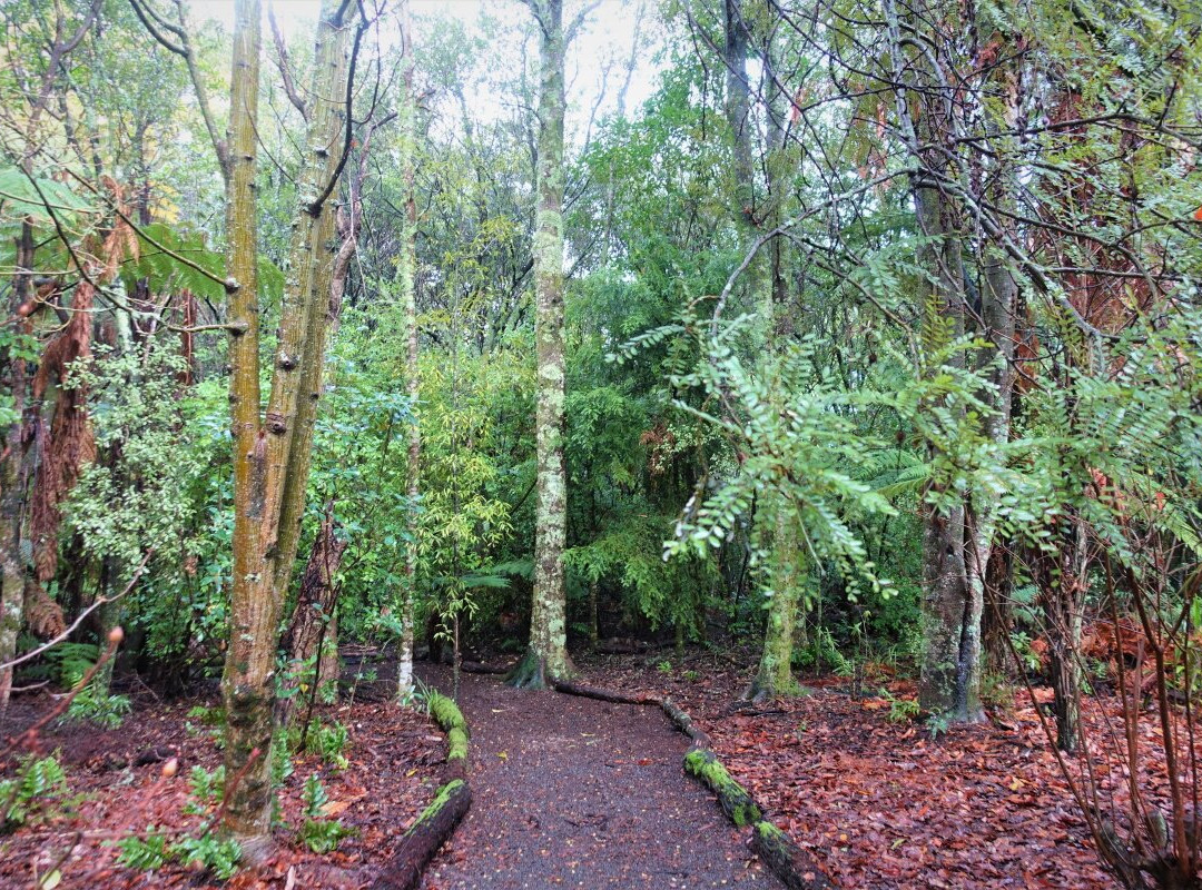 Waipahihi Botanical Gardens景点图片