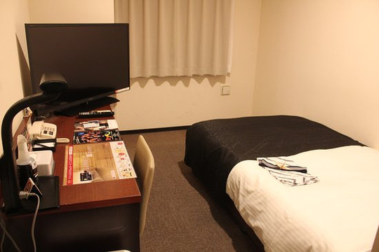 蒲田樱枫酒店主图