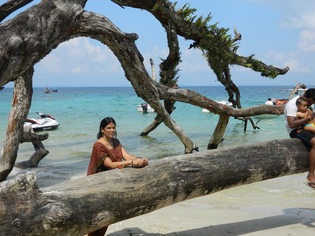 Elephant Beach-哈夫洛克岛必去景点