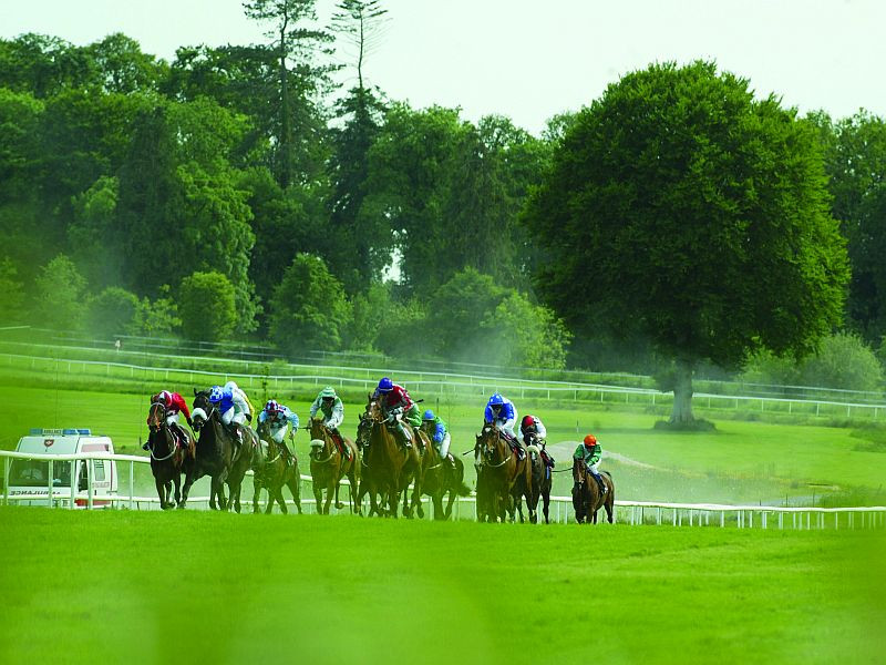 Gowran Park Racecourse景点图片