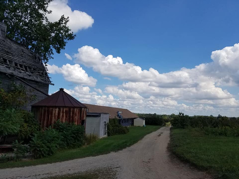 South Lyon旅游景点-Erwin's Orchard