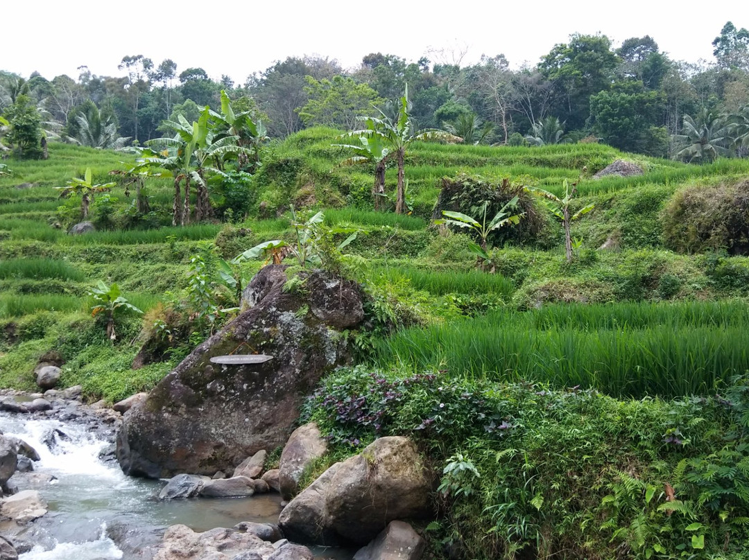 Tirta Husada Hot Spring景点图片