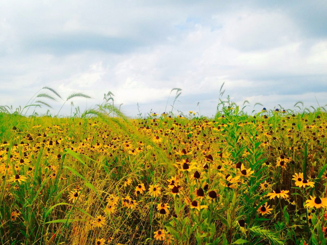 Lake Elmo旅游攻略图片