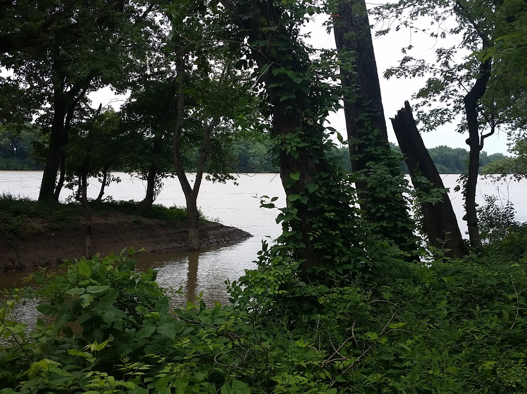 Beall Woods State Park-Mount Carmel必去景点