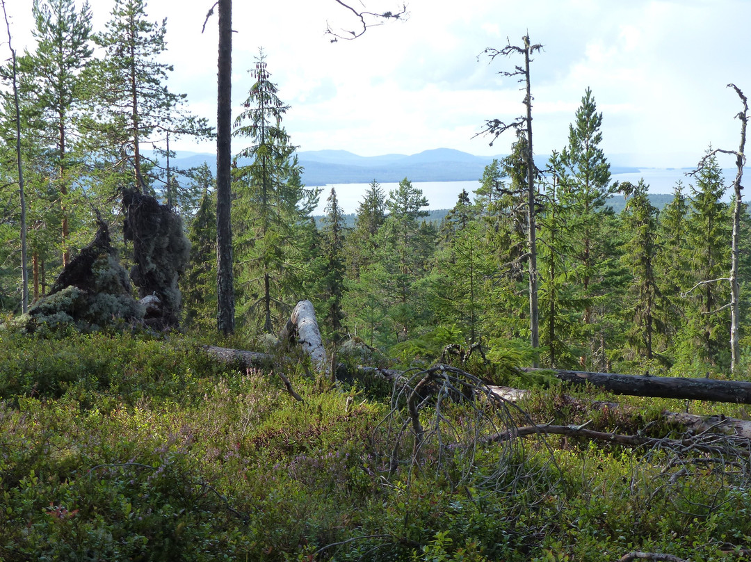 Naturum Dalarna-Siljansnas必去景点