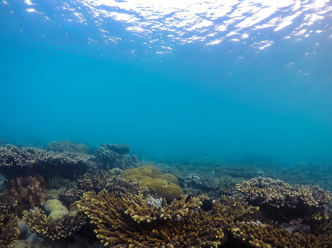 Kharg Island旅游攻略图片