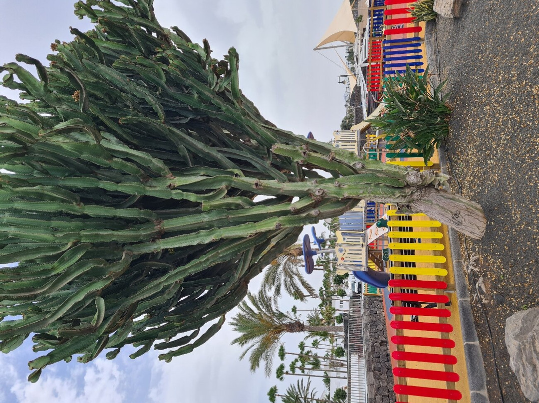 Parque Infantil