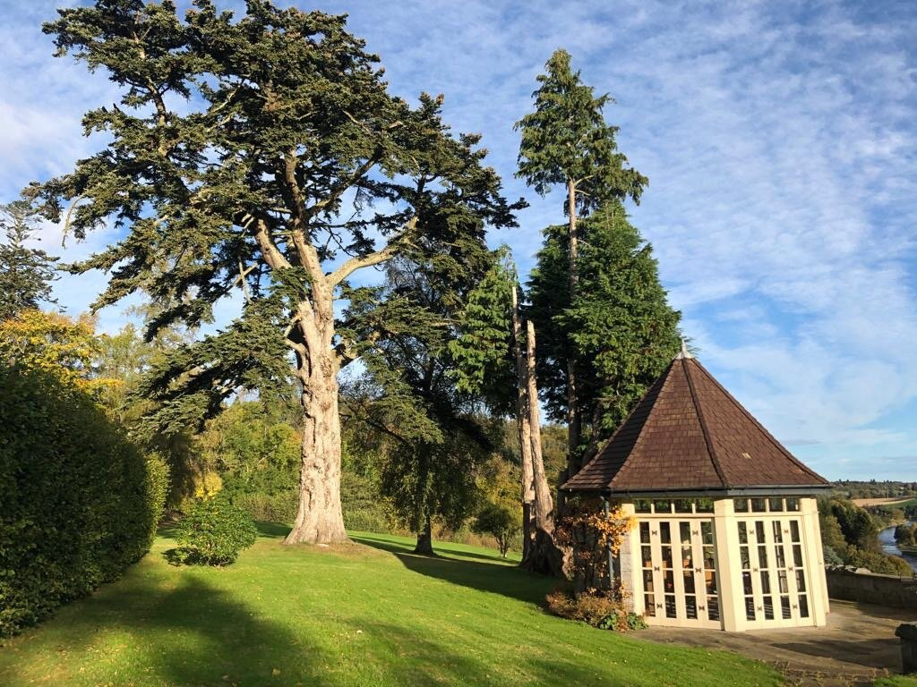 Mayen Estate