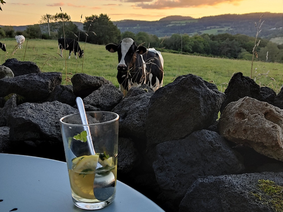 Saint-Pierre-le-Chastel旅游攻略图片