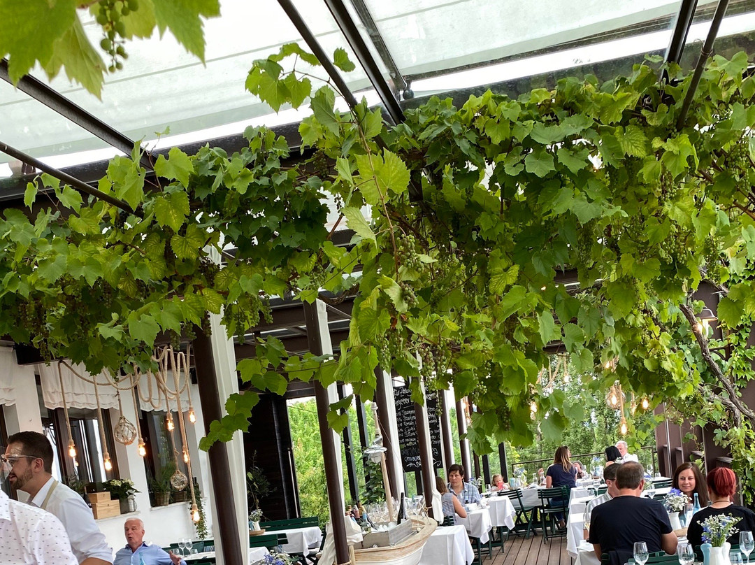 Sulztal an der Weinstrasse旅游攻略图片