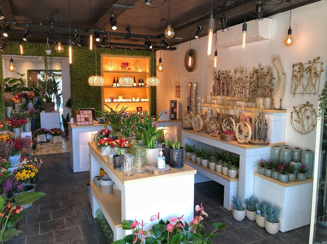 Berchem旅游攻略图片