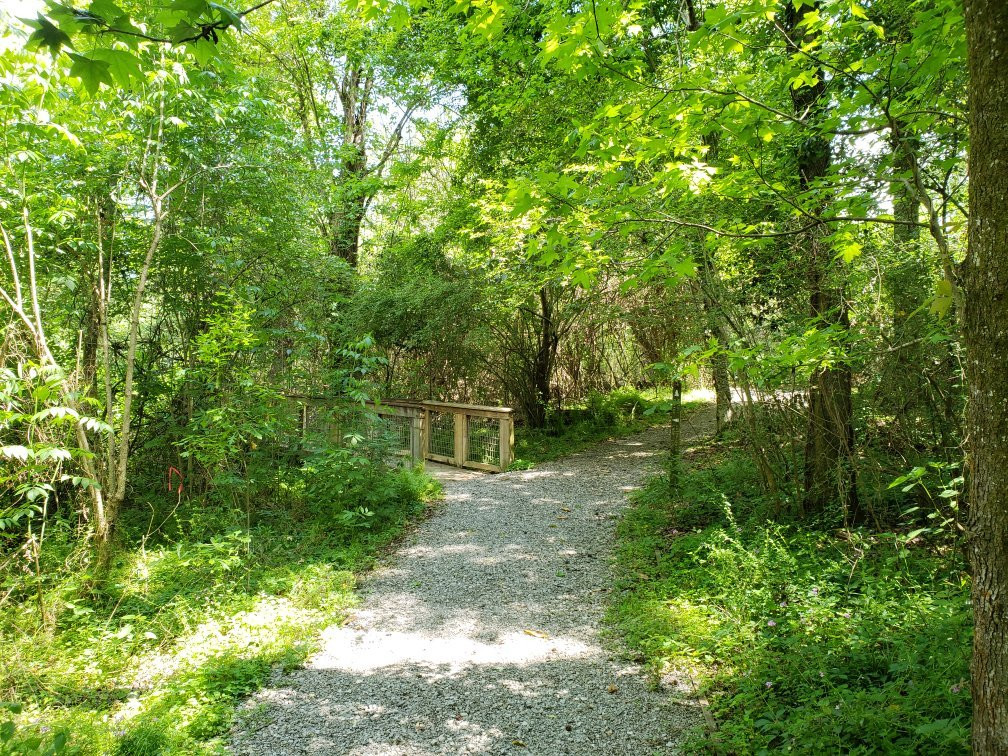 Bluebonnet Swamp Nature Center景点图片
