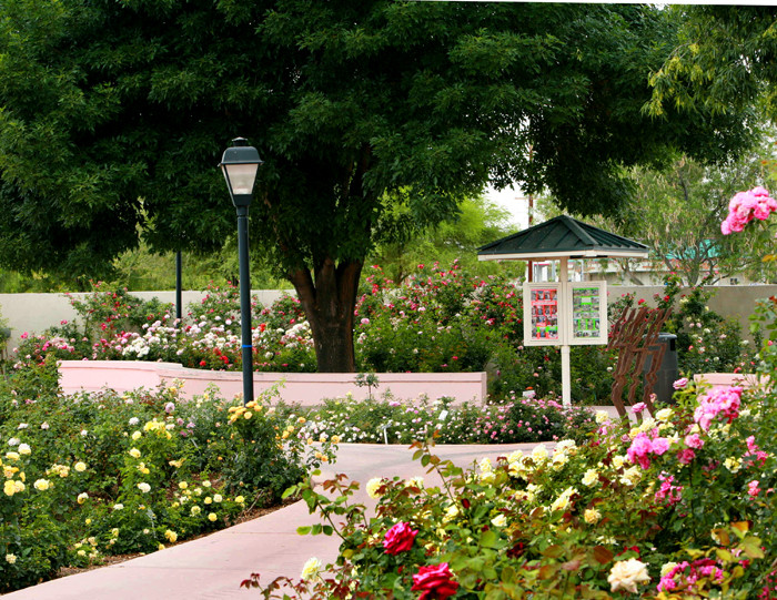 Rose Garden at Mesa Community College景点图片