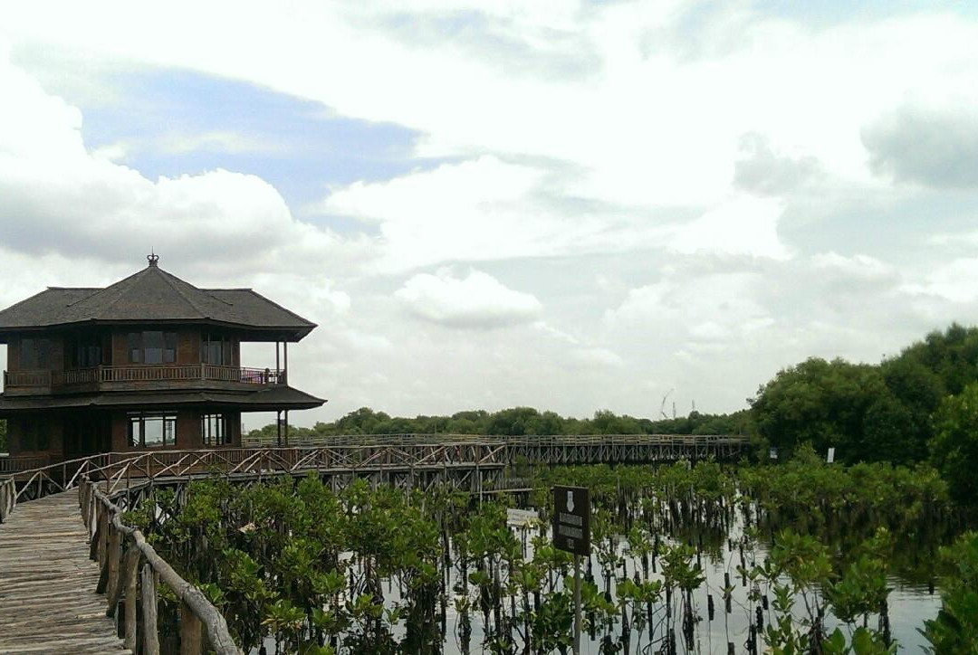 Alam Angke Kapuk Nature Park景点图片