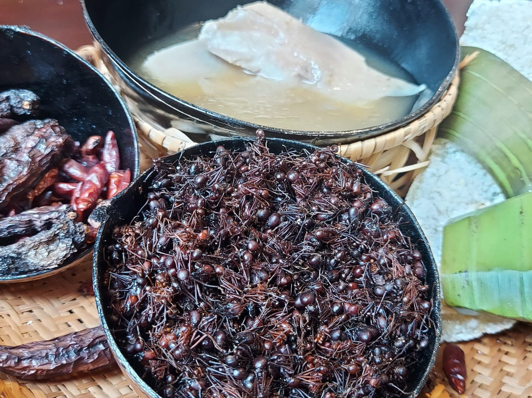 Biatuwi Casa De Comida Indigena