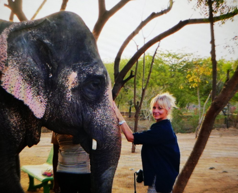 Elefanjoy Elephant Sanctuary景点图片