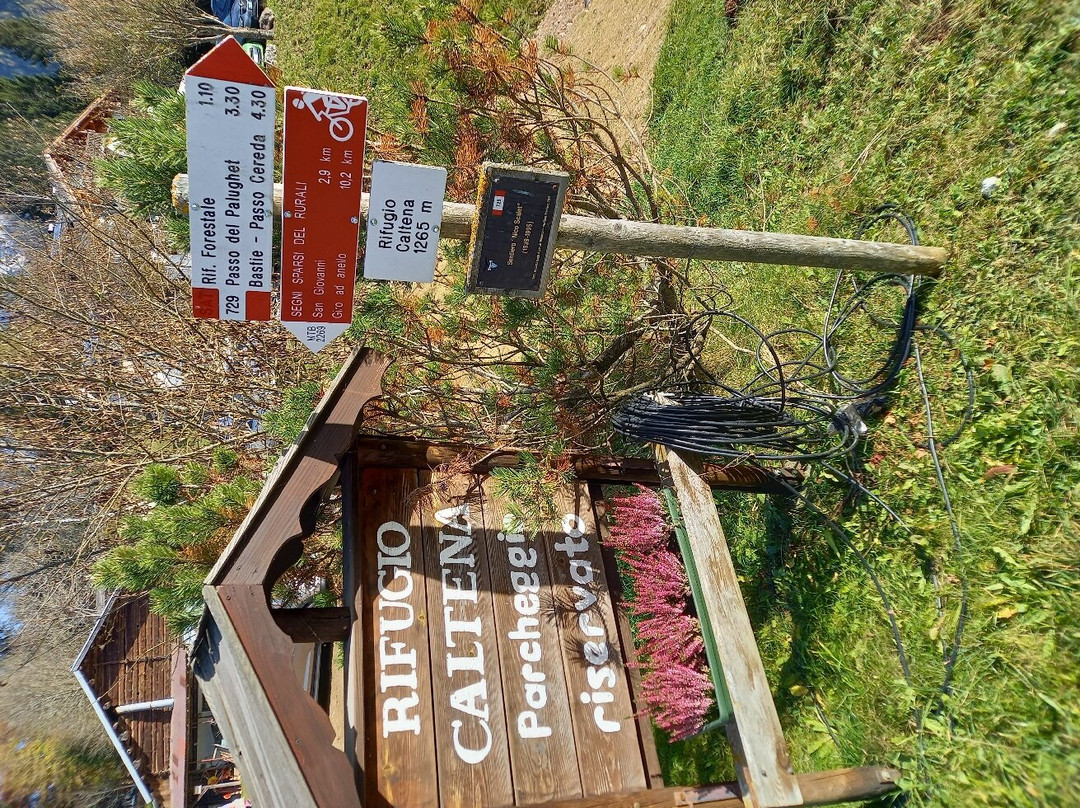 Ponte Tibetano in Val Noana景点图片