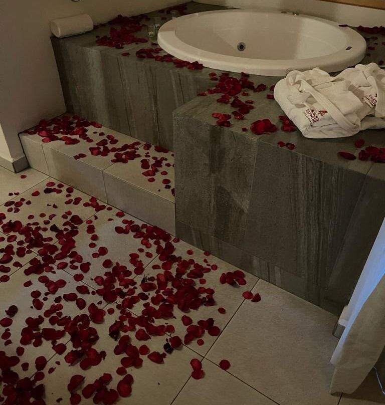 Hotel Bosque Escondido主图