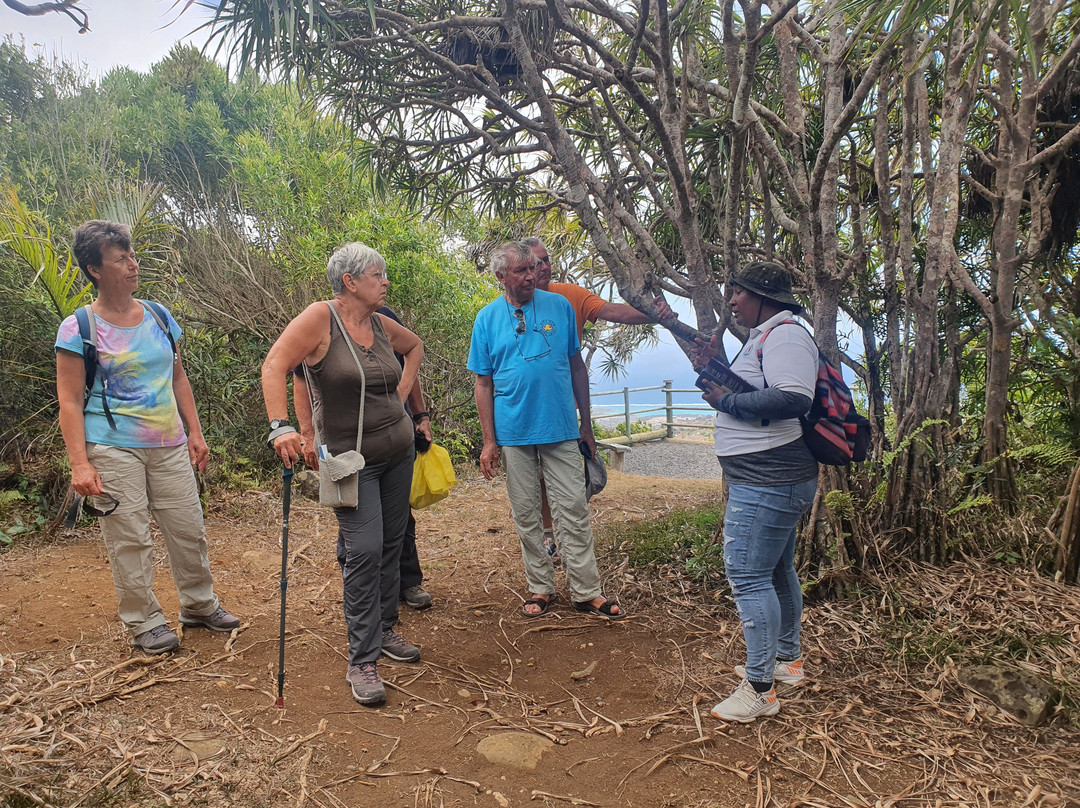 Mauritian Wildlife Foundation (MWF)-Vacoas必去景点