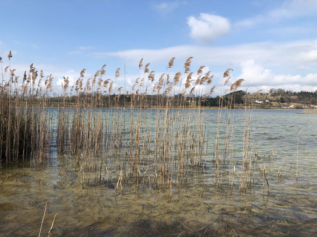 Plage du Grand Lac de Clairvaux-Clairvaux-les-Lacs必去景点