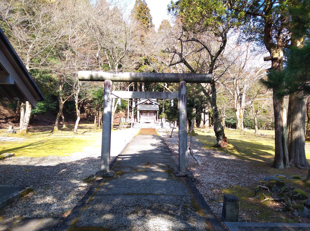 Matsu No Ki Shrine景点图片