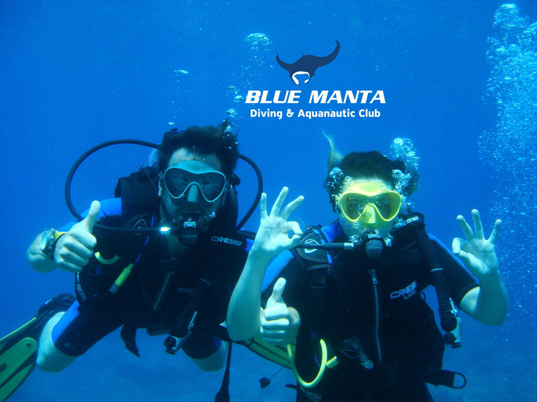 Blue Manta Diving & Aquanautic Club景点图片