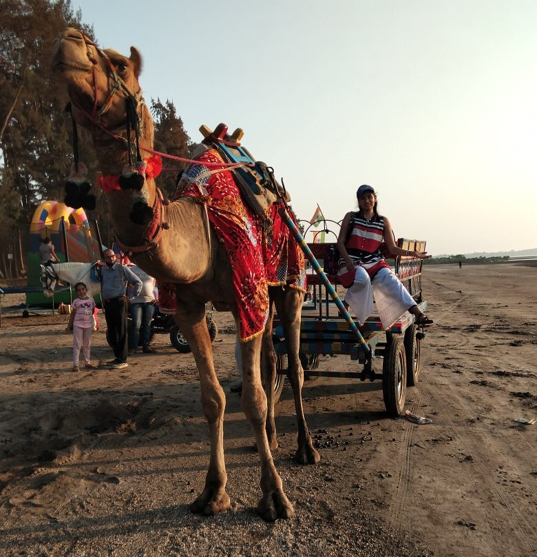 Bordi Beach-Bordi必去景点