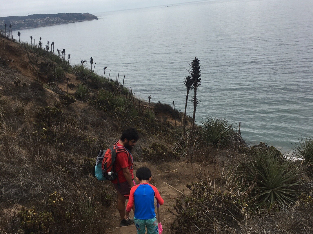 Playa Luna-Puchuncavi必去景点
