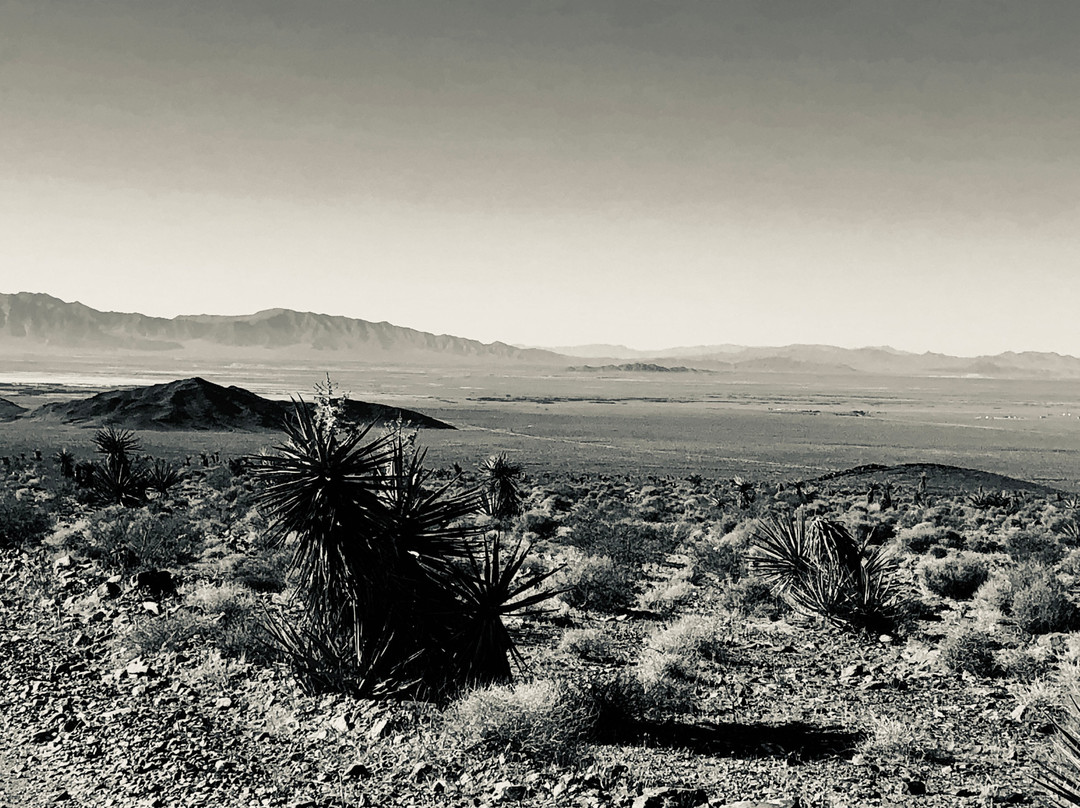 Miss Kathy's Short Branch Saloon-帕朗必去景点