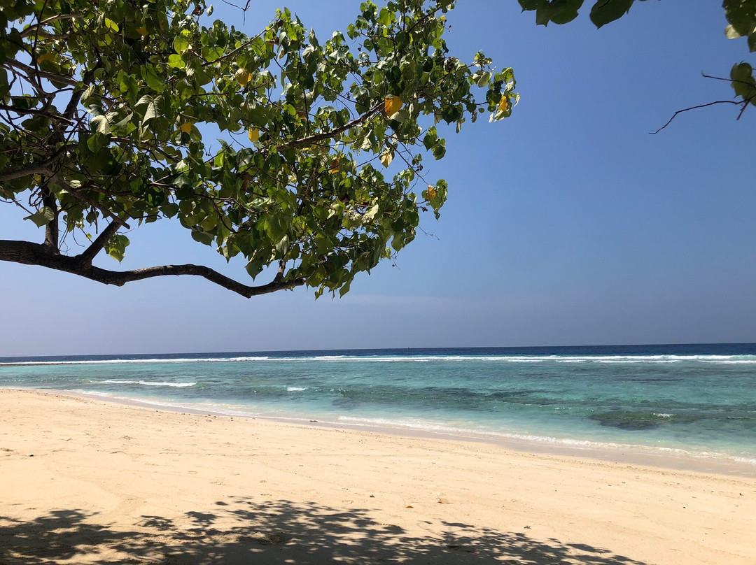 Bikini Beach景点图片